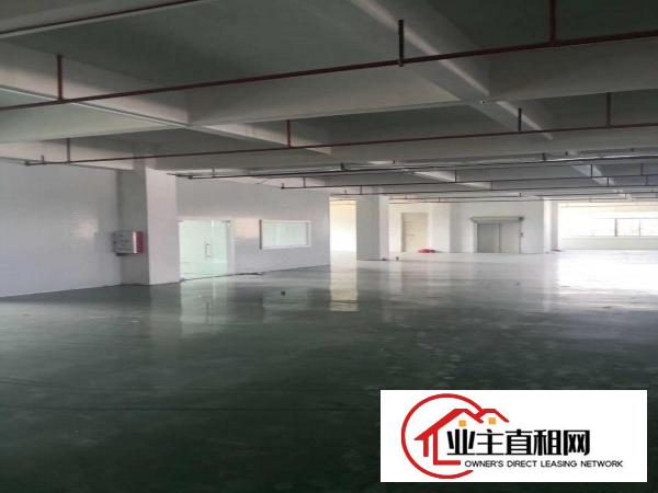  26590平方重工业独院标准电梯厂房，配套宿舍办公楼