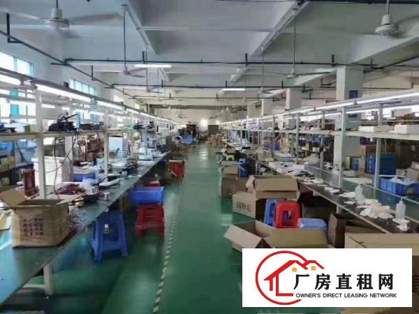  朱黎工业区一手厂房出租独院2层3200平高度6米可以分租！