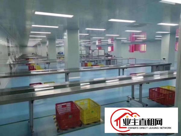  石湾镇新出无尘车间厂房10000平方米，现成地坪漆，独院