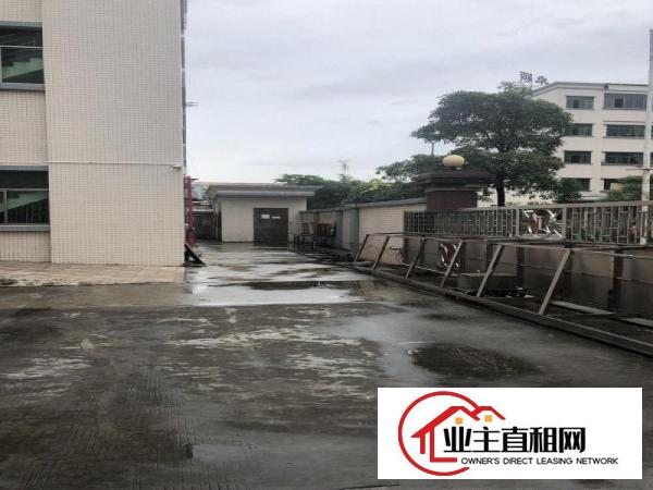  石湾镇新出无尘车间厂房10000平方米，现成地坪漆，独院