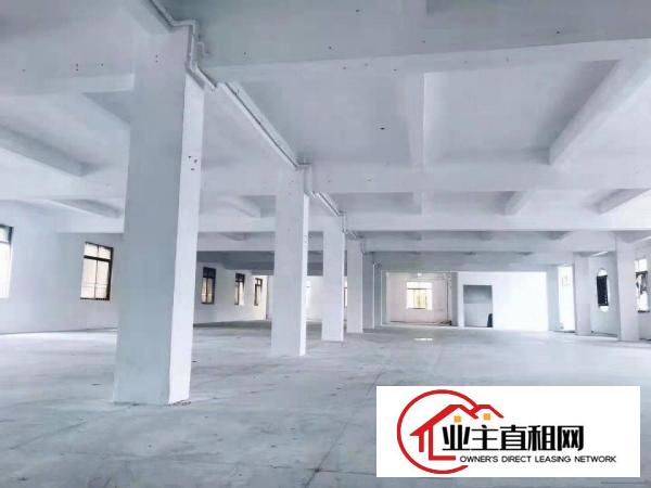  无公摊！独院两层2600平方厂房！一楼6米高带牛角