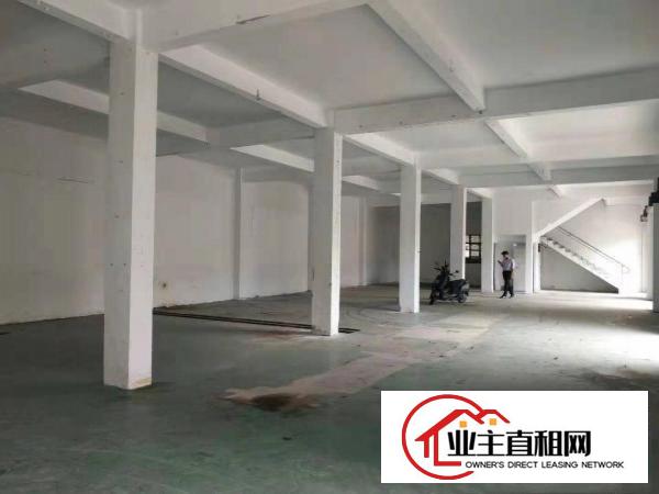  无公摊！独院两层2600平方厂房！一楼6米高带牛角