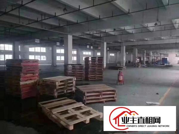  无公摊！独院两层2600平方厂房！一楼6米高带牛角
