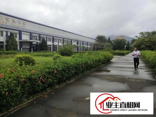  博罗花园式厂房出租11000平方，有国土证带红本，环评包过