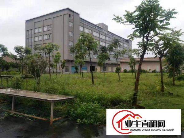  博罗红本厂房招租，可做喷油，数控，CNC等行业，园区形象漂亮