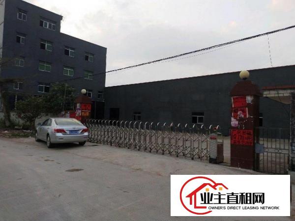  陈江独门独院钢结构厂房出租