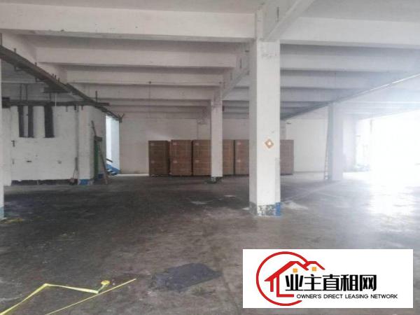  陈江幸福原房东一楼标准厂房1000平米带装修出租