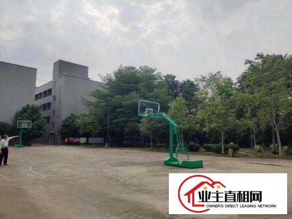  惠州市仲恺陈江大道花园式厂房