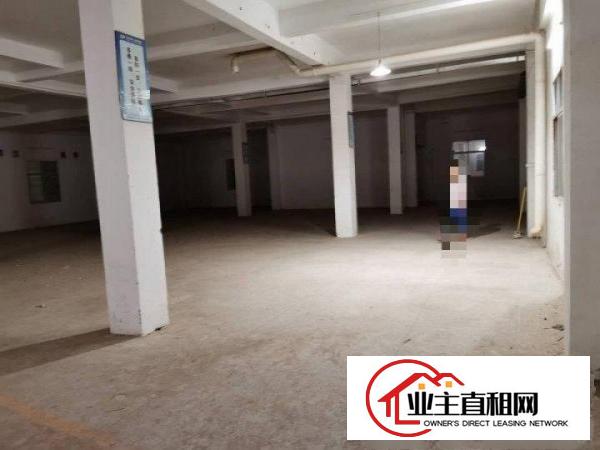  厂房或仓库出租，一层六百平方，房东直租，中介免扰