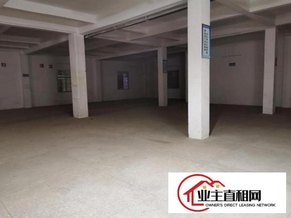  厂房或仓库出租，一层六百平方，房东直租，中介免扰