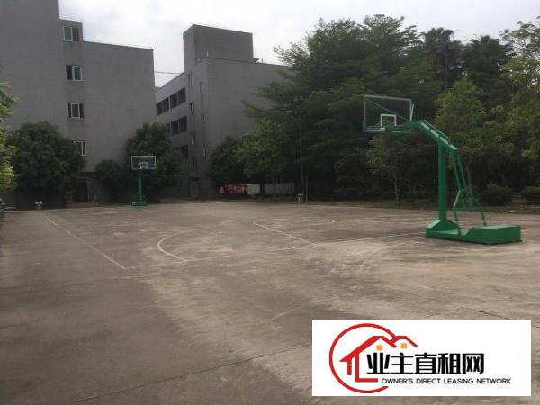  惠州市陈江镇仲恺六路旁独院超大空地标准厂房25300平可分租