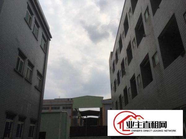  惠州市陈江镇仲恺六路旁独院超大空地标准厂房25300平可分租
