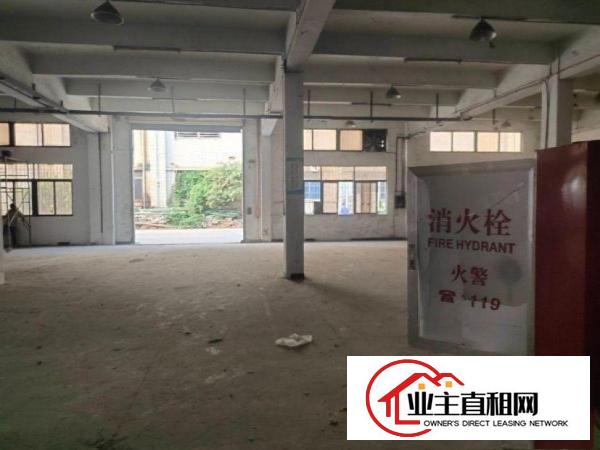  陈江青春村新出一楼高度六米600平方厂房出租，交通便利