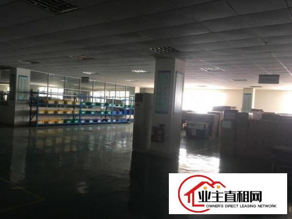  陈江镇新出花园式园区厂房有无尘车间可分租