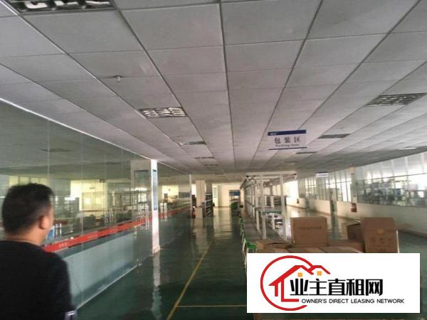  陈江镇新出花园式园区厂房有无尘车间可分租