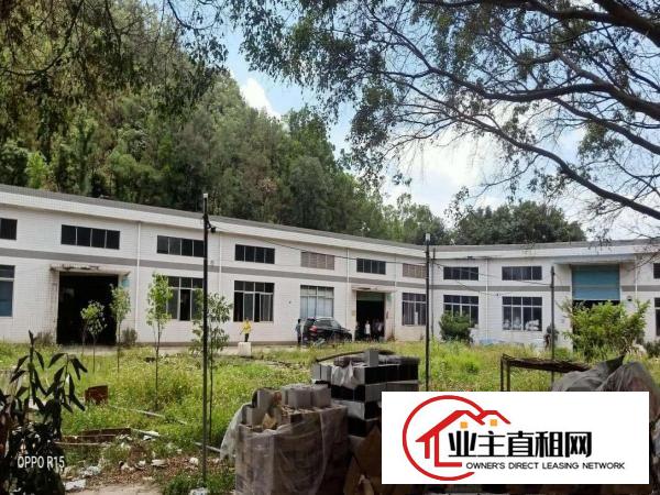  仲恺新出原房东标准独院厂房10000平方低价招租