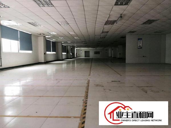  仲恺新出原房东标准独院厂房10000平方低价招租
