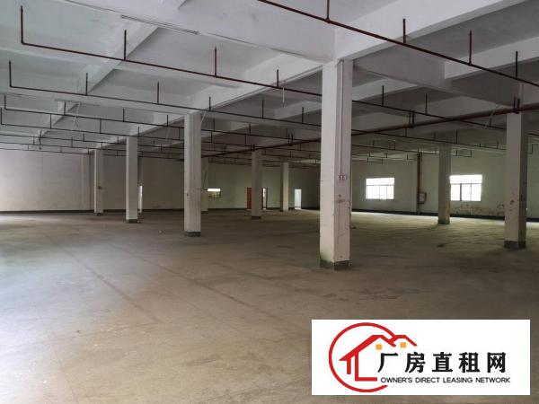  仲恺陈江大道南新出独门独院证件齐全两层标准楼房业主直租