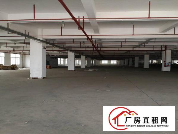  仲恺陈江大道南新出独门独院证件齐全两层标准楼房业主直租