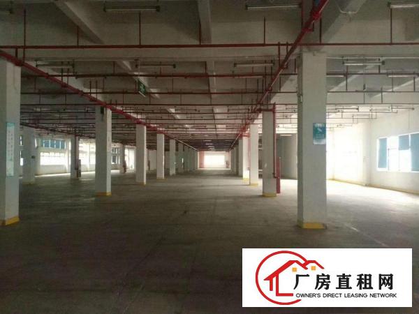  惠州仲恺区新出原房独院31800平方园区空地大可分租可办环评