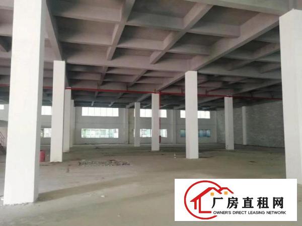  惠州仲恺新出红本工业园一楼2000平厂房