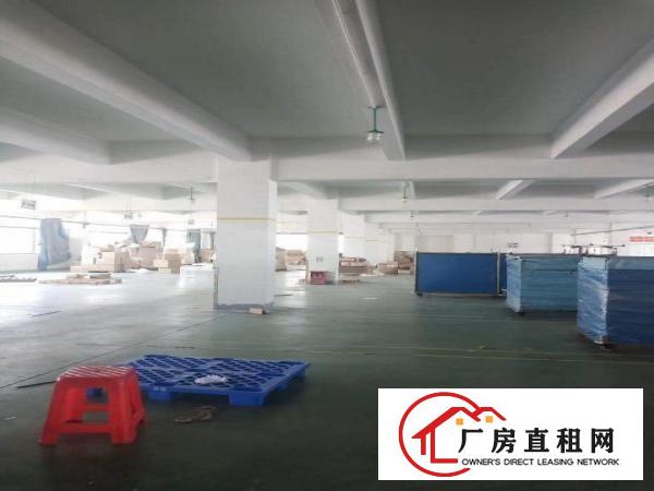  惠州市仲恺惠环独院厂房