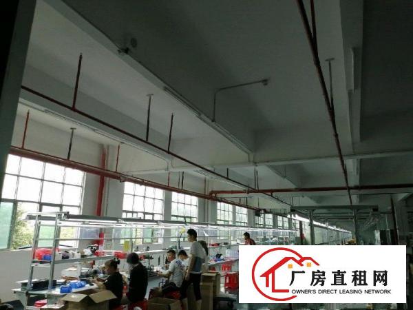  仲恺高新区华安路厂房招租