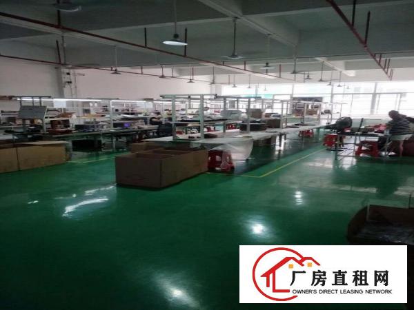  仲恺惠环精装修标准厂房1000平方出租