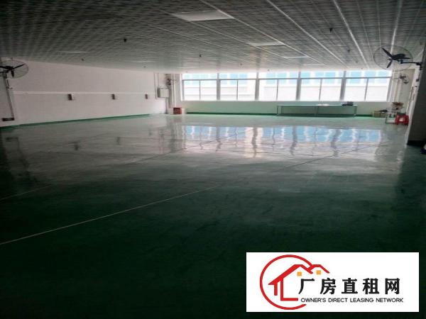  仲恺惠环精装修标准厂房1000平方出租