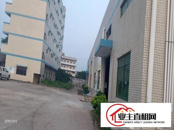  惠州仲恺高新区平南原房东独院钢构厂房招租