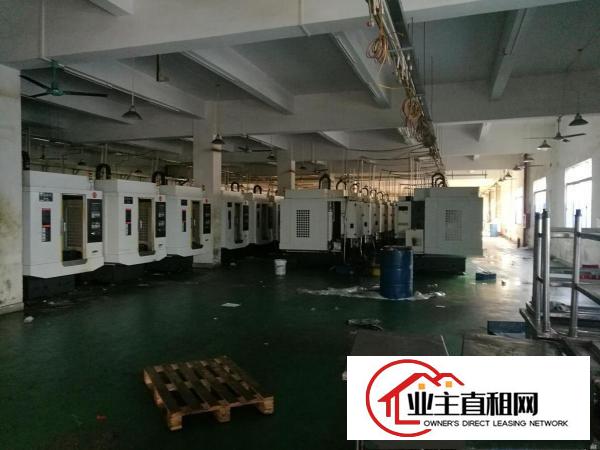  惠台工业园区标准厂房一楼1300平方
