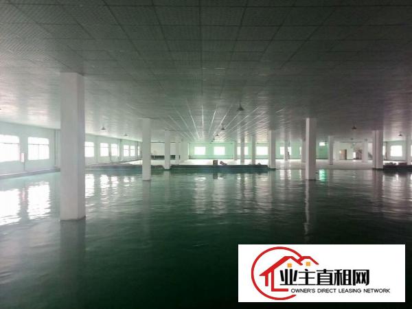  仲恺陈江，4350平米，可办环评的标准厂房出租