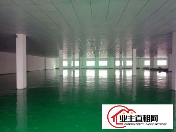  仲恺陈江，4350平米，可办环评的标准厂房出租