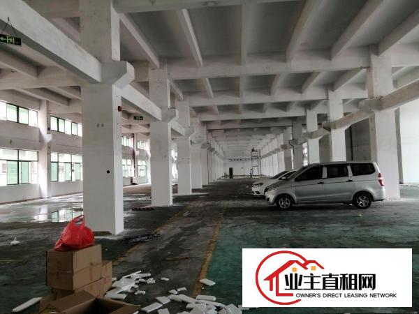  升华工业园一楼3000平带牛角层高7米有环评带装修招租