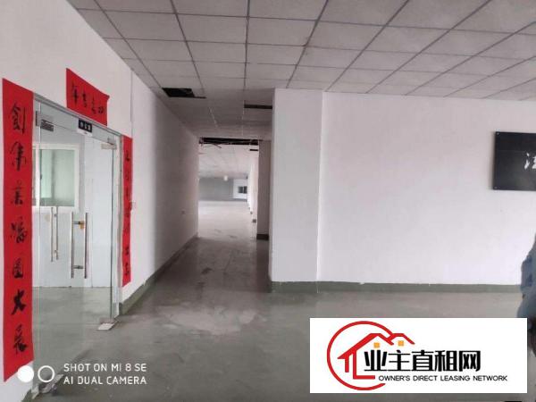  新空出独门独院标准厂房证件齐全可分租