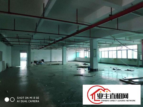  新空出独门独院标准厂房证件齐全可分租