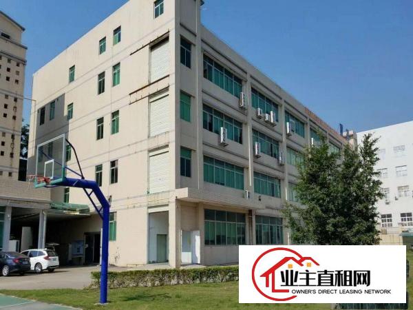  新空出独门独院标准厂房证件齐全可分租