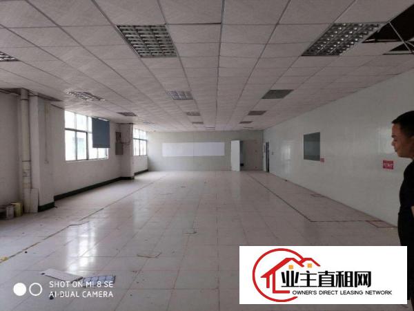  新空出独门独院标准厂房证件齐全可分租
