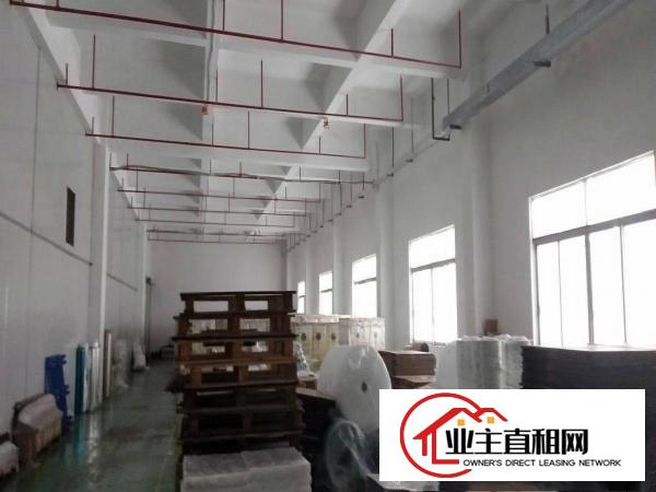  惠台工业区新出一楼2000平方厂房可以分租，带精装修办公室