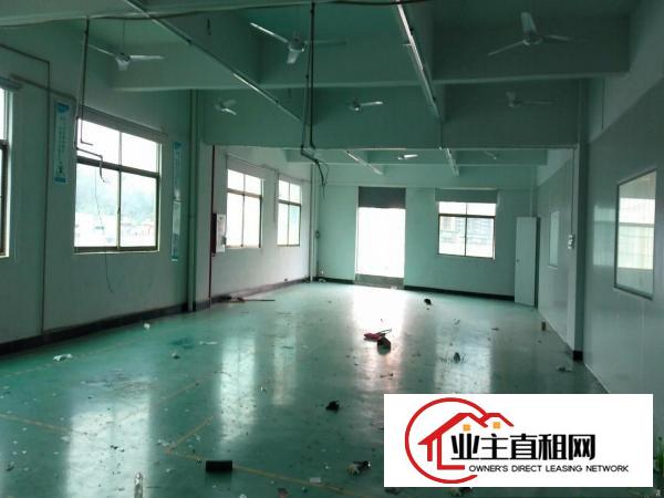  平南高速出口新出楼上1000平方带精装修