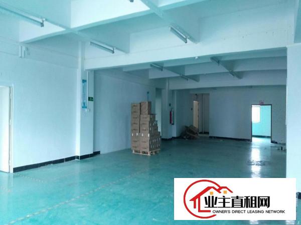 平南高速出口新出楼上1000平方带精装修