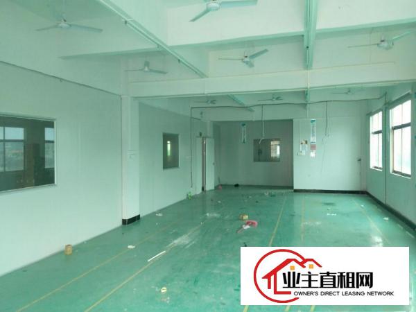  平南高速出口新出楼上1000平方带精装修