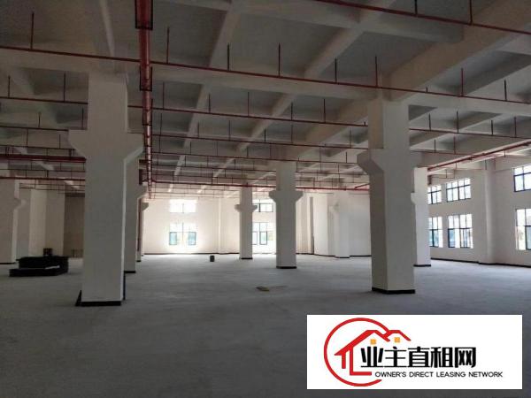  陈江超靓25300平独院带红本厂房原房东招租可分租有现成装修