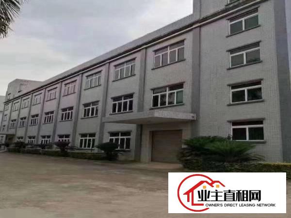  陈江超靓25300平独院带红本厂房原房东招租可分租有现成装修