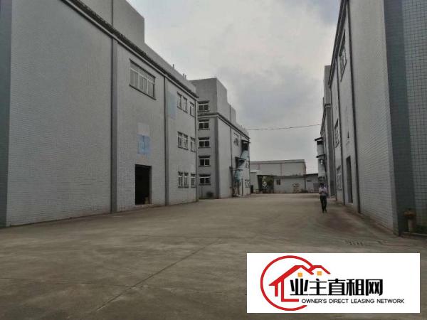  陈江超靓25300平独院带红本厂房原房东招租可分租有现成装修