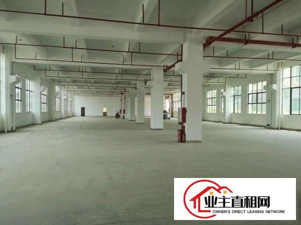  陈江超靓25300平独院带红本厂房原房东招租可分租有现成装修