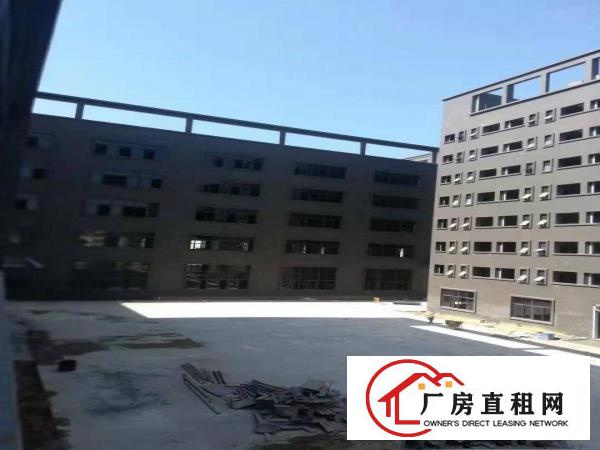  惠州市沥林镇6万平米全新落地窗厂房火爆招租中