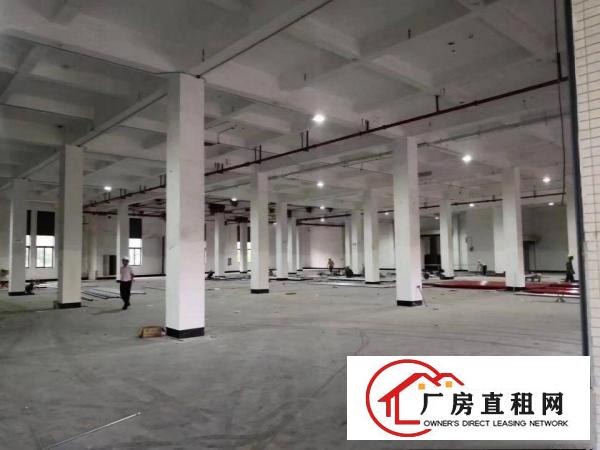  惠州市沥林镇6万平米全新落地窗厂房火爆招租中