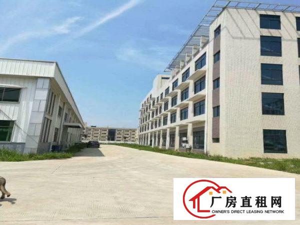  仲恺沥林新建一万平左右独栋楼房