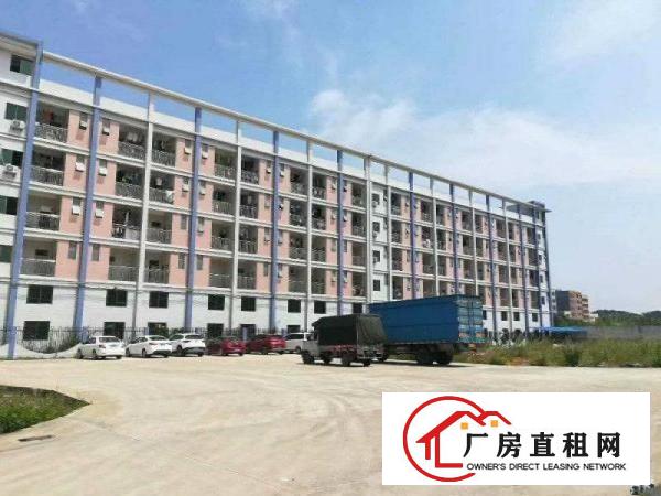  仲恺沥林新建一万平左右独栋楼房